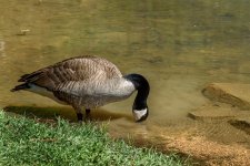 _DSC3580-Edit-Mary's shot.jpg