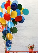 03 April 2016 - Balloon Sculpture Garden.jpg