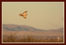 4-3-16-cr__D7K2684.jpg