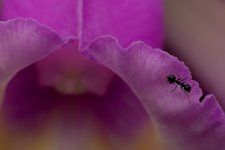 DSC_6178.jpg