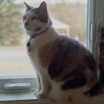 DSC_2593.jpg