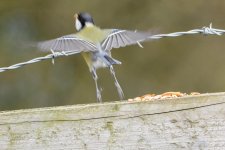 April 04, 2016-0059-Edit.jpg