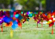 04 April 2016 - Pinwheel Forest.jpg