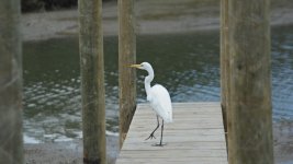 DSC_2124 a.jpg