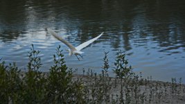 DSC_2126.jpg