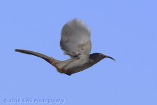 4-4-16-cr__D7K2699.jpg