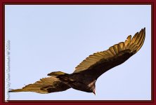 untitled-4531-Edit.jpg
