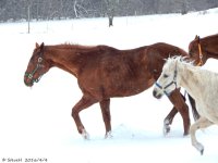 DSCN2645.jpg