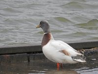DSCN1758.jpg