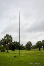 D71_9157.jpg