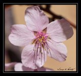 W_DSC_2666.jpg