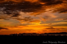 DSC_7179.jpg