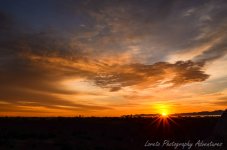 DSC_7189.jpg
