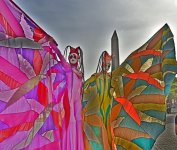 z_IMG_3406.jpg
