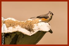 untitled-4719-Edit.jpg