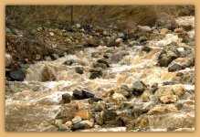 Farmington Creek  #2 4-9-2016.jpg