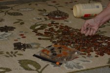 4-9-16-cr__D7K2790.jpg