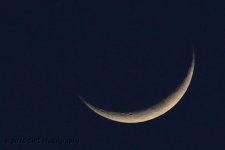 4-9-16-cr__D7K2793.jpg