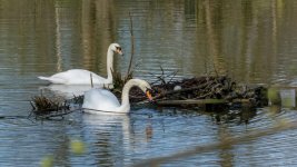 April 10, 2016-0202-Edit.jpg