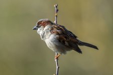 DSC_8363.jpg