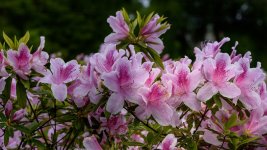 Lee University.-3833.jpg