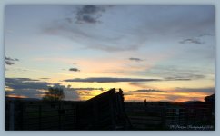 Sunset #2 4-10-2016.jpg