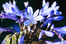 DSC_0397_2.jpg