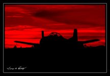 W_DSC_3009.jpg