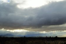 4-10-16-cr_DSC_3528.jpg