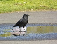 DSC_5622.jpg