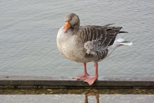 DSC_5750.jpg