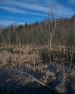 DSC_3013.jpg