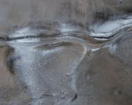 DSC_3043.jpg