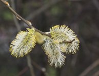 DSC_5793.jpg