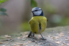 DSC_8413.jpg