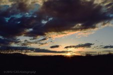 4-11-16-cr_DSC_3539.jpg