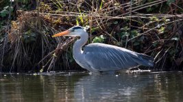 April 10, 2016-0180-Edit.jpg