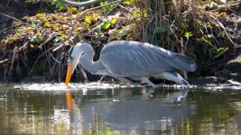 April 10, 2016-0181-Edit.jpg