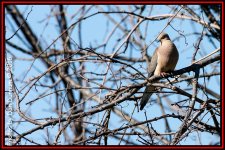 untitled-4877-Edit.jpg