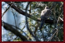 untitled-4888-Edit.jpg