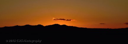 4-12-16-cr_DSC_3550.jpg