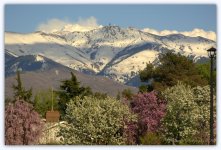 Radar Towers in Spring #2 4-12-2016.jpg