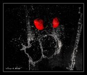 W_DSC_3829.jpg