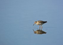 DSC_6097.jpg