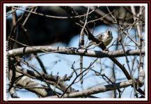 untitled-4926-Edit.jpg