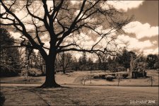 4-12-16 Lakeview IR    7.4sm.jpg