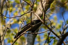 20160410-_D716952.jpg