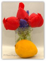 Red Tulips, Grape Hyacinth, and a Lemon #2 4-13-2016.jpg