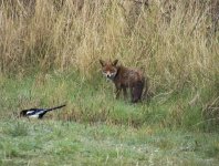 DSC_6393.jpg