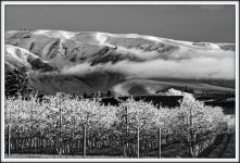 _DSC4864-Edit.jpg